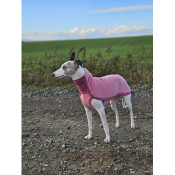 Bezrękawnik dla chartów