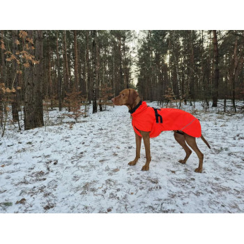 Kurtka dla psa ENERGIC